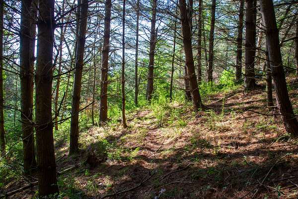 1.43 Acres of Residential Land for Sale in Grassy Creek, North Carolina