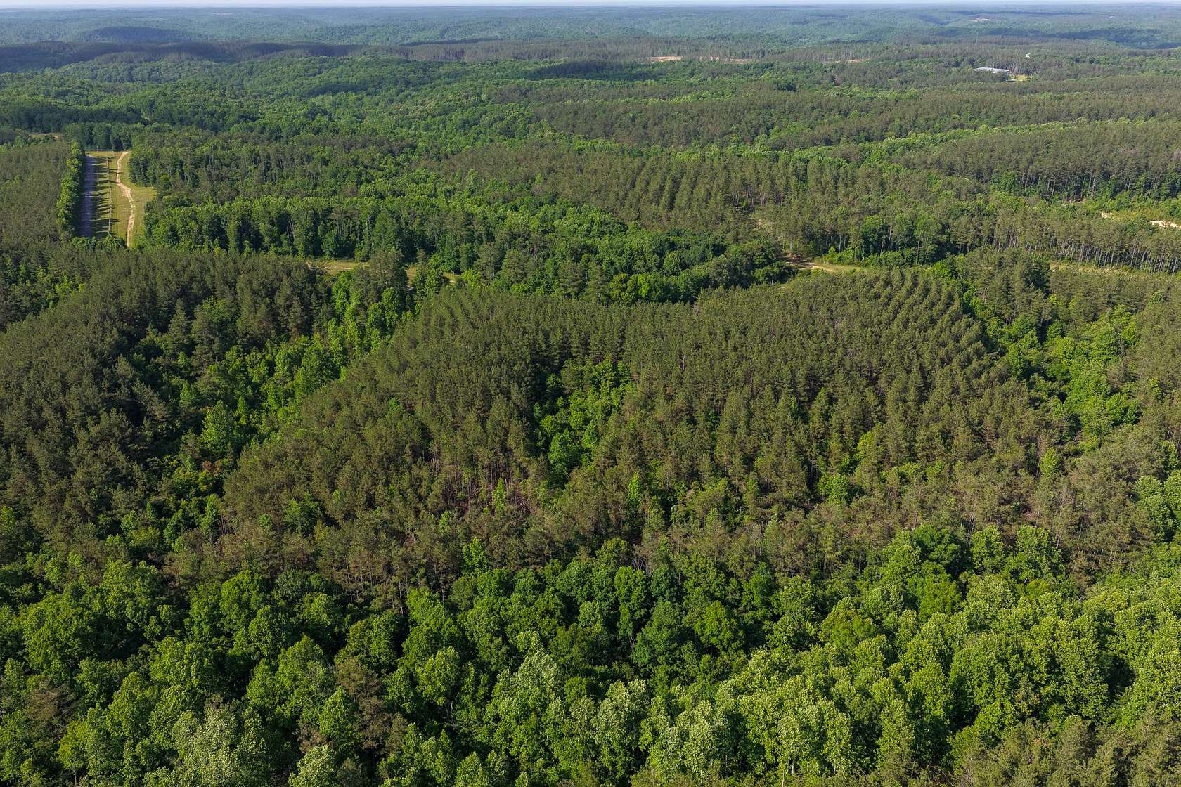 14 Acres of Land for Sale in Hohenwald, Tennessee