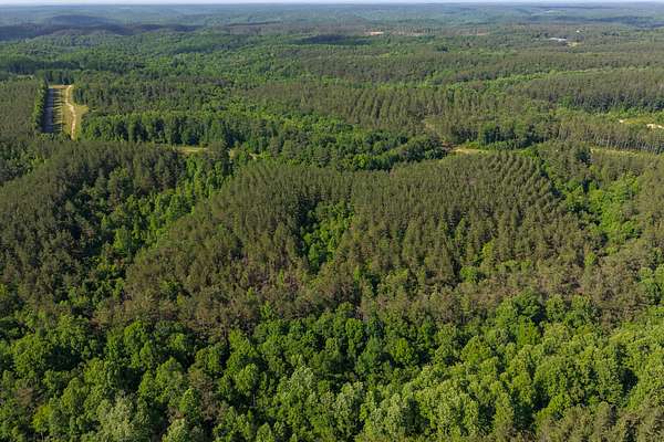 14 Acres of Land for Sale in Hohenwald, Tennessee