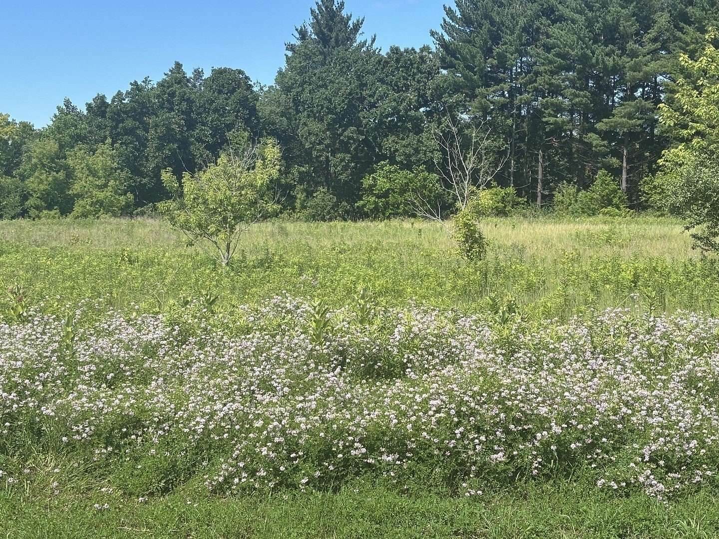 1.54 Acres of Residential Land for Sale in Richmond, Illinois