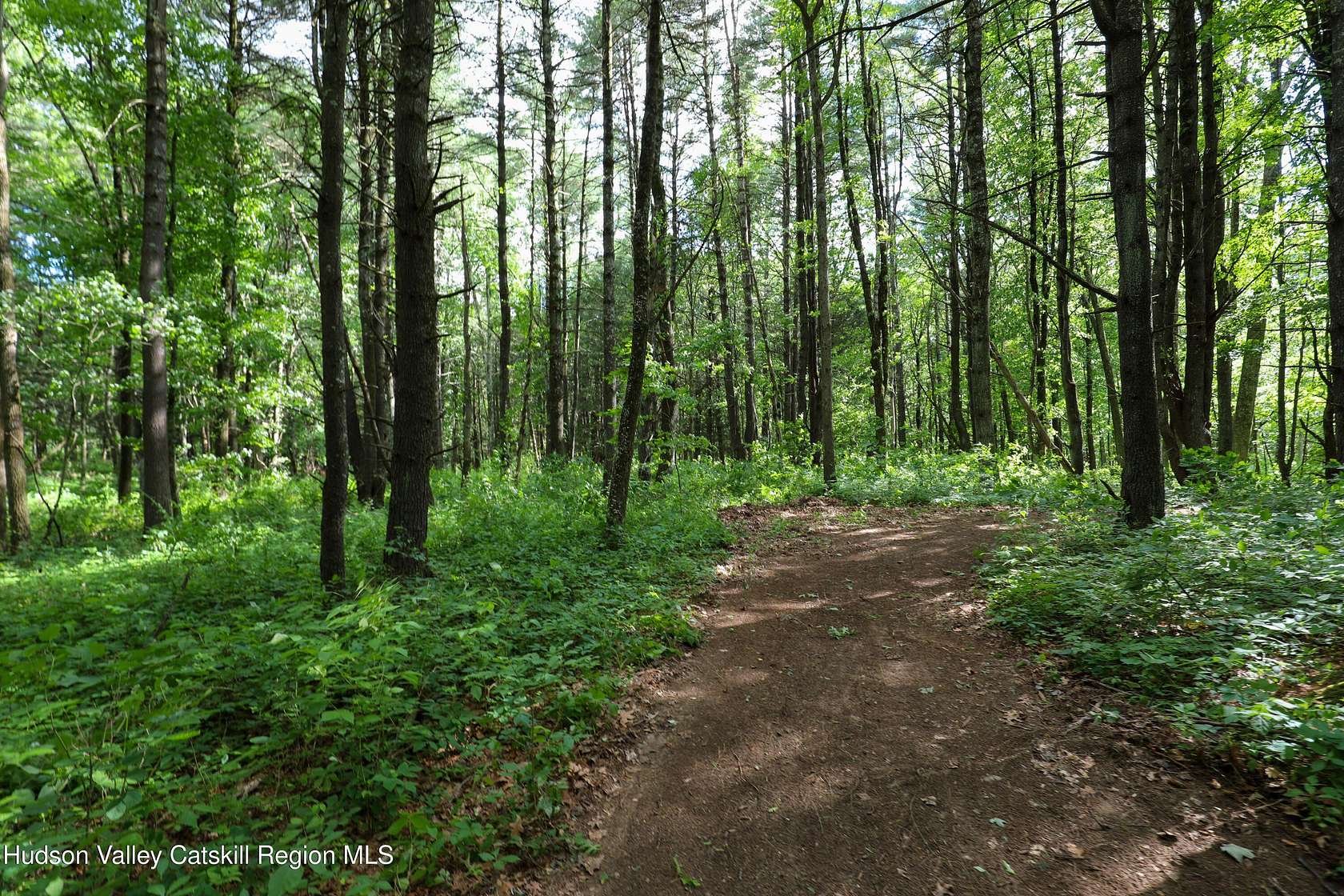 12.3 Acres of Recreational & Residential Land for Sale in Catskill, New York