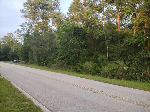 3.14 Acres of Land for Sale in Silver Springs, Florida