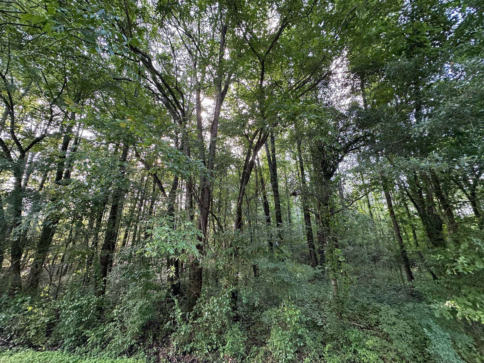 11.1 Acres of Commercial Land for Sale in Canton, Mississippi