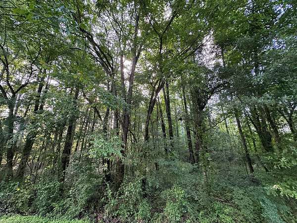 11.1 Acres of Commercial Land for Sale in Canton, Mississippi