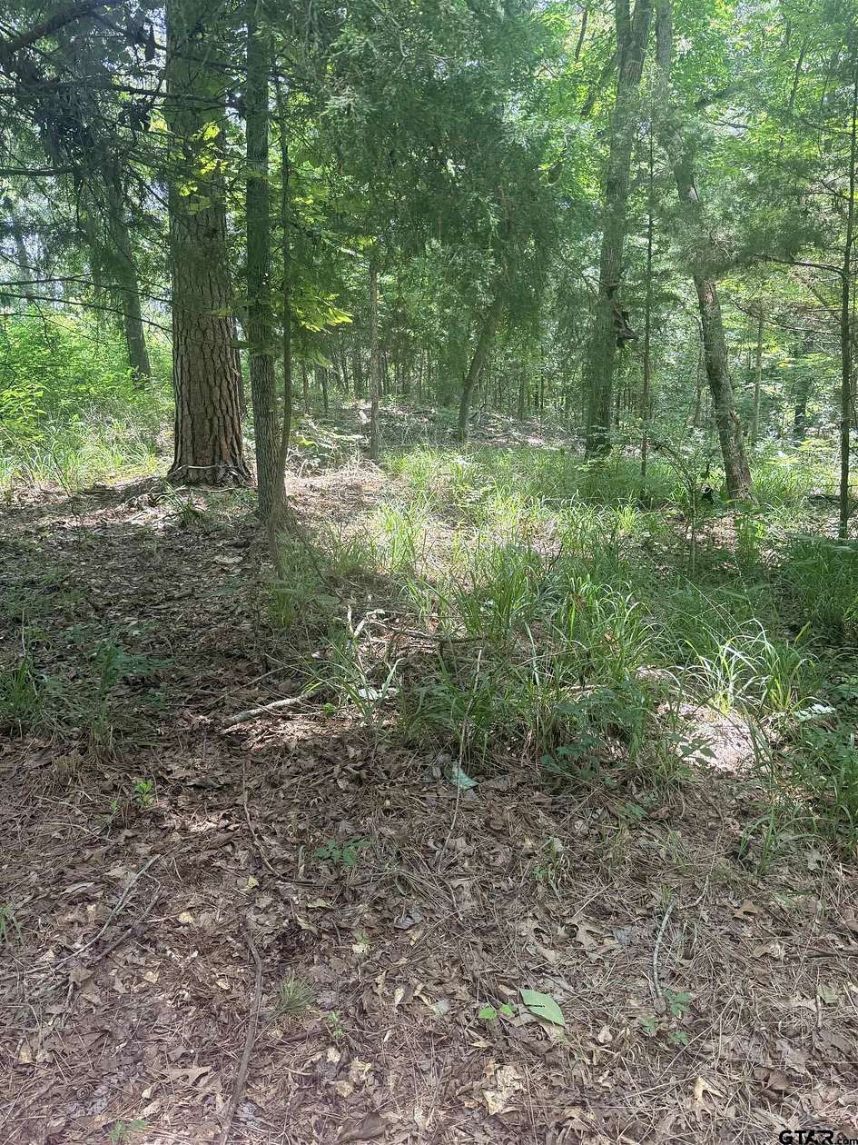 0.66 Acres of Land for Sale in Bullard, Texas