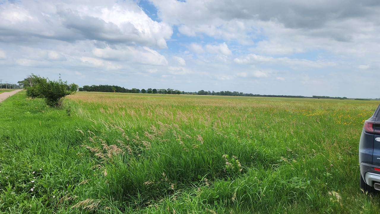40 Acres of Agricultural Land for Sale in Dannebrog, Nebraska