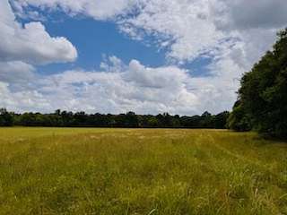 12.8 Acres of Land for Sale in Lebanon, Tennessee