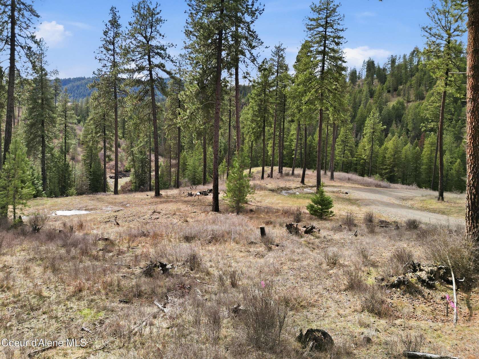 12.2 Acres of Recreational & Residential Land for Sale in Coeur d'Alene, Idaho
