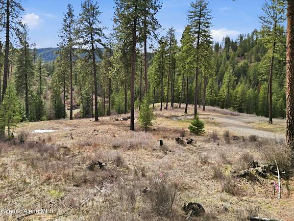 12.2 Acres of Recreational & Residential Land for Sale in Coeur d'Alene, Idaho