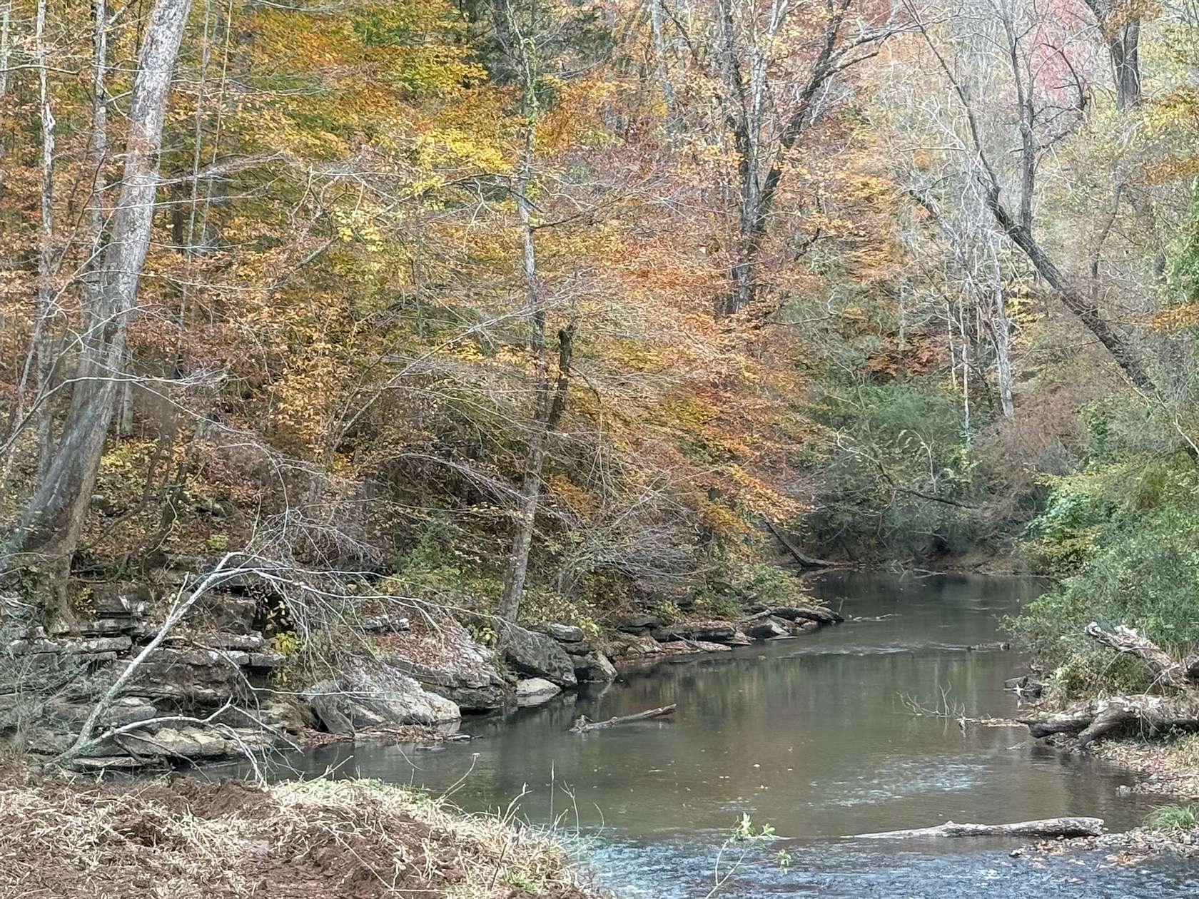 24.2 Acres of Agricultural Land for Sale in McMinnville, Tennessee