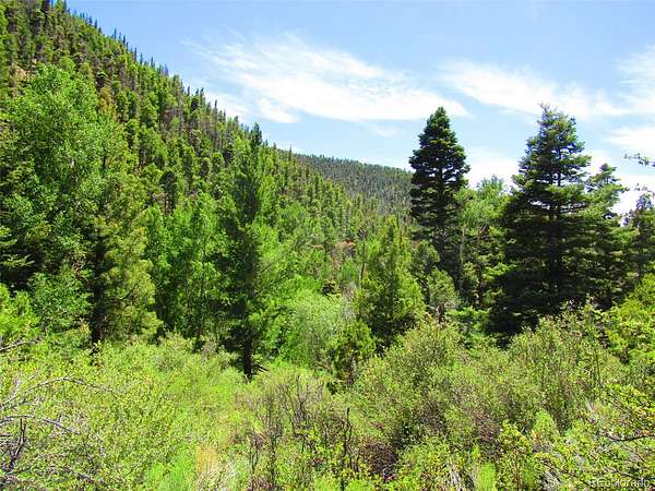 9.3 Acres of Land for Sale in Fort Garland, Colorado