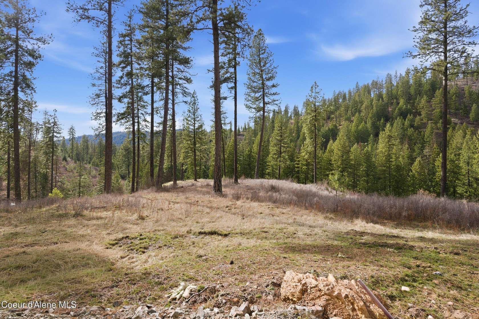 5 Acres of Residential Land for Sale in Coeur d'Alene, Idaho