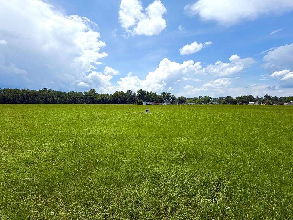 1 Acre of Residential Land for Sale in Willacoochee, Georgia