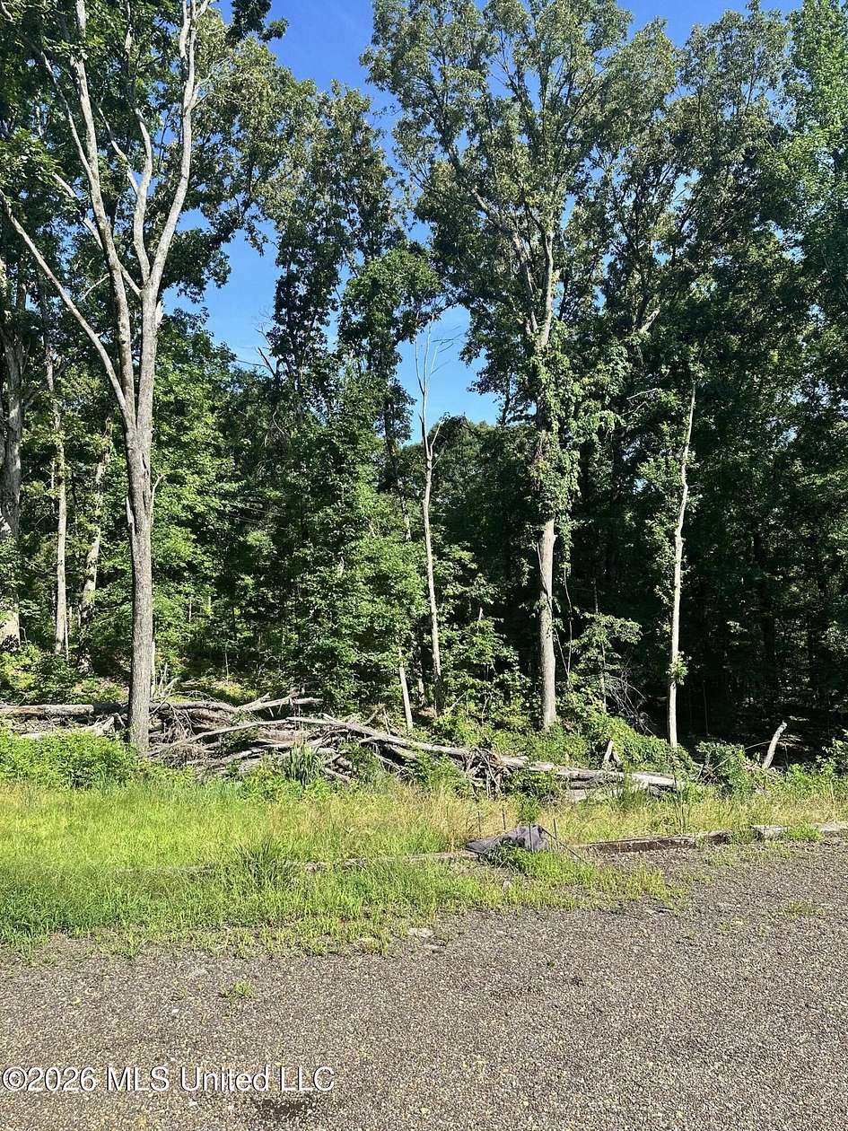 5 Acres of Residential Land for Sale in Sardis, Mississippi