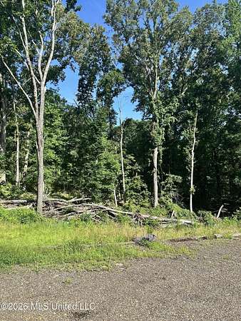 5 Acres of Residential Land for Sale in Sardis, Mississippi