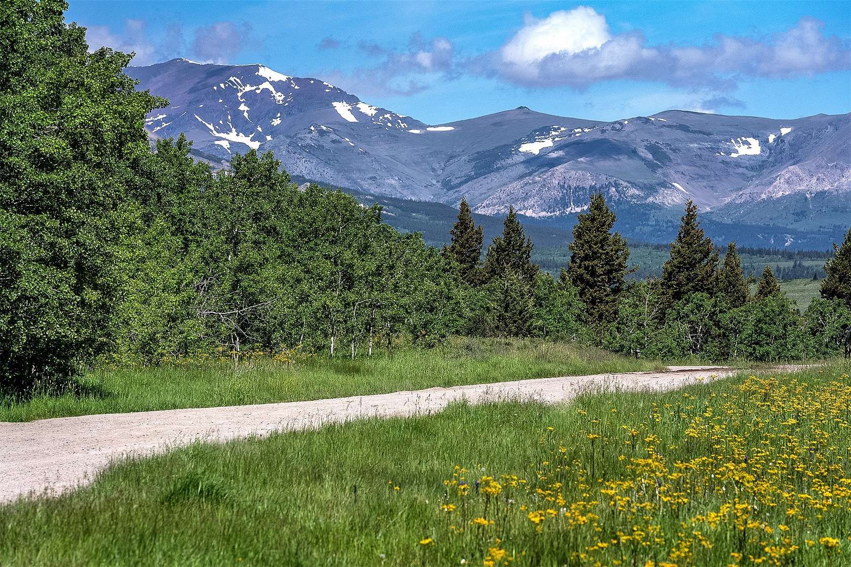 220 Acres of Land for Sale in East Glacier Park, Montana