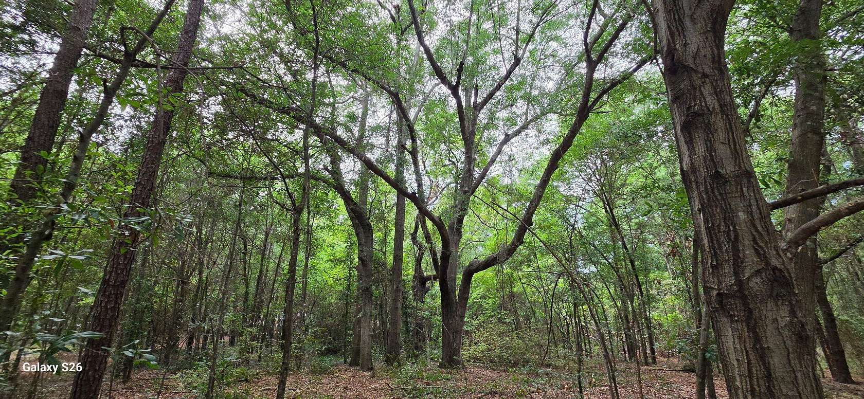 1.19 Acres of Mixed-Use Land for Sale in Summerton, South Carolina
