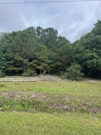 1.19 Acres of Mixed-Use Land for Sale in Summerton, South Carolina