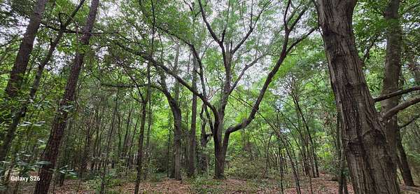 1.19 Acres of Mixed-Use Land for Sale in Summerton, South Carolina