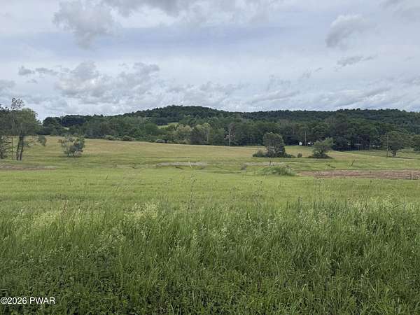 11.5 Acres of Agricultural Land for Sale in Damascus, Pennsylvania