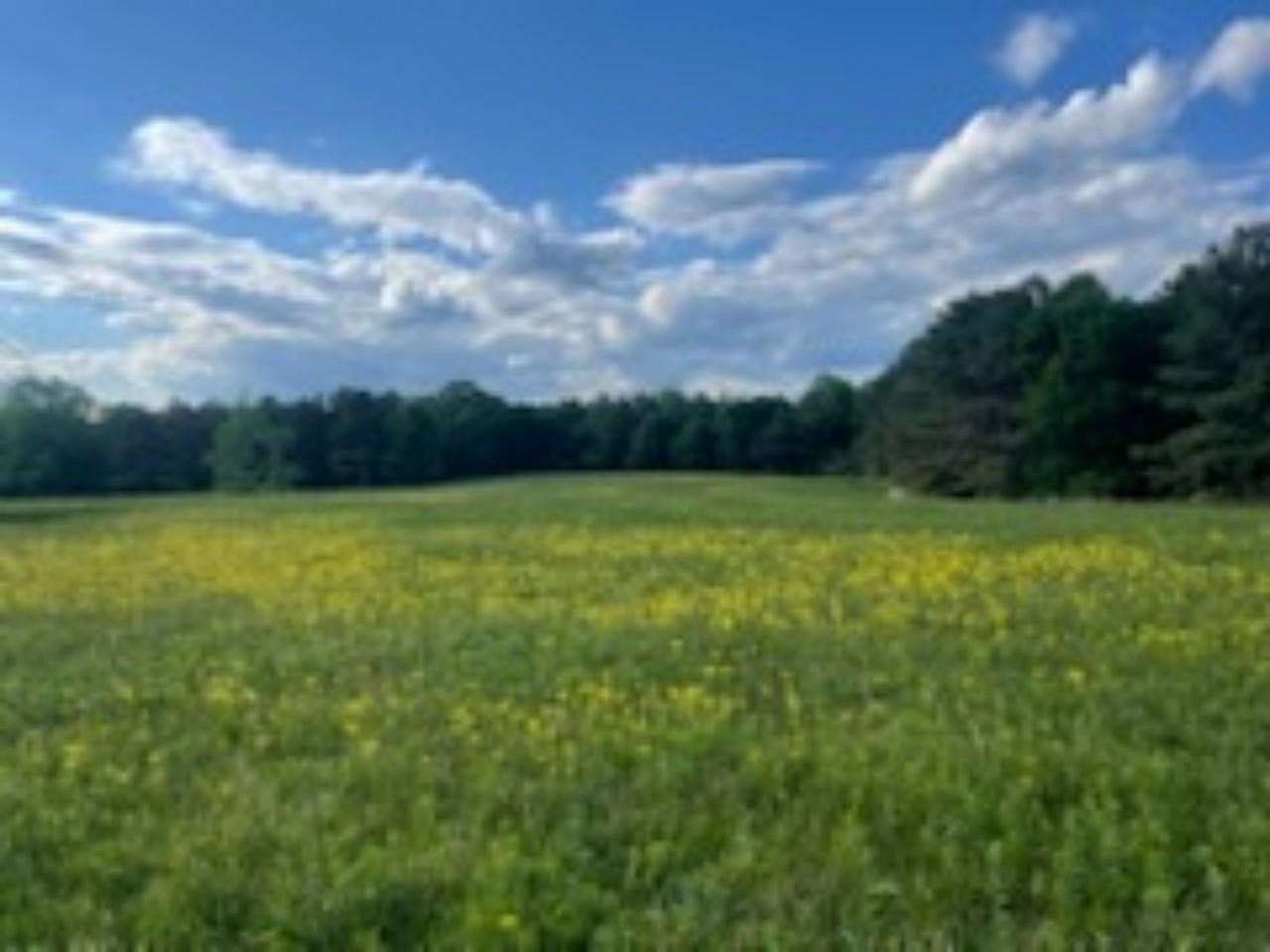 80 Acres of Recreational & Residential Land for Sale in Hodges, Alabama
