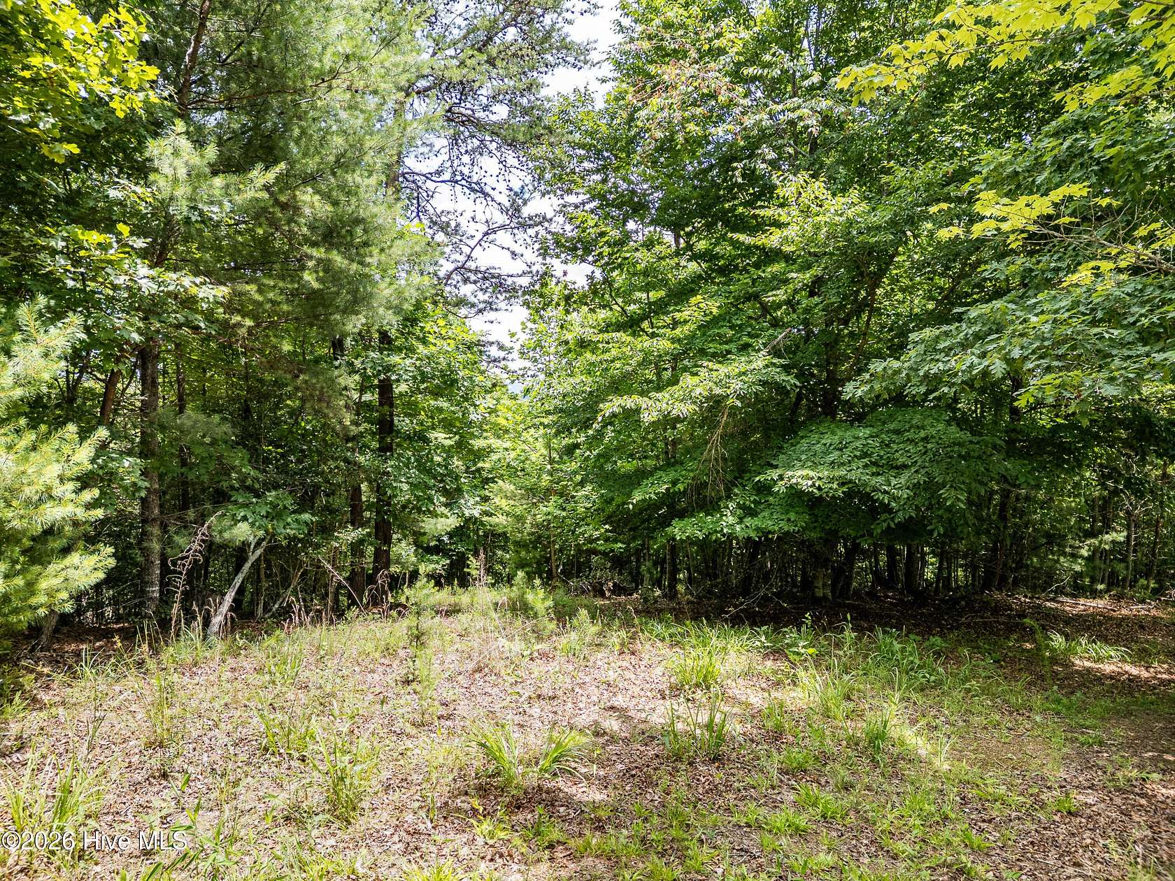 Land for Sale in Brasstown, North Carolina