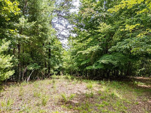 Land for Sale in Brasstown, North Carolina