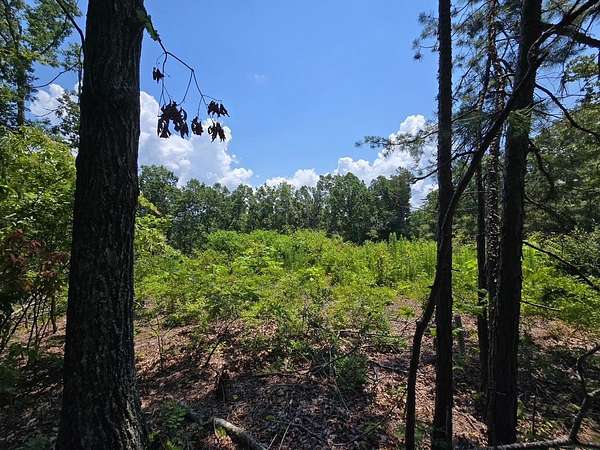 6.2 Acres of Residential Land for Sale in Savannah, Tennessee