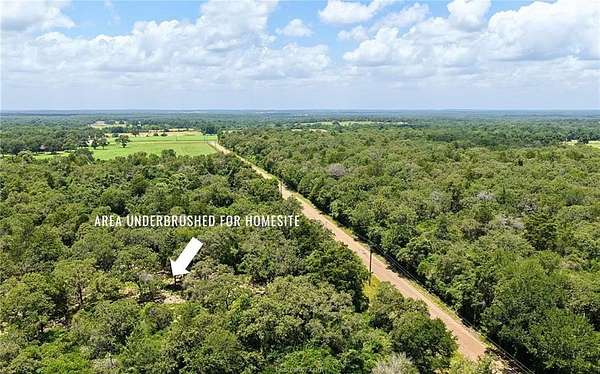 10 Acres of Recreational & Residential Land for Sale in Caldwell, Texas