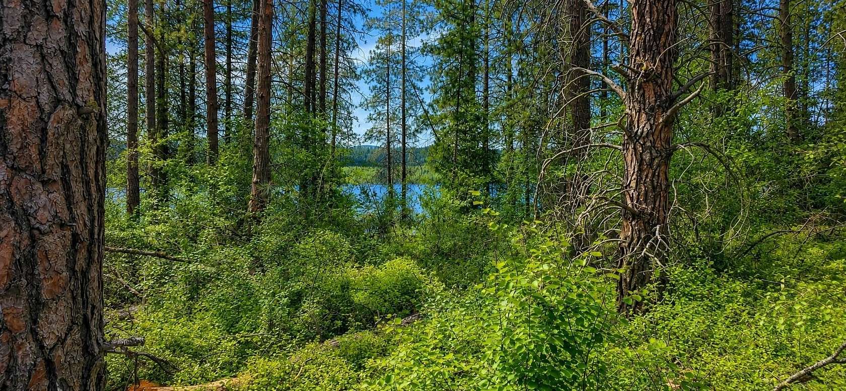 0.33 Acres of Land for Sale in Gifford, Washington