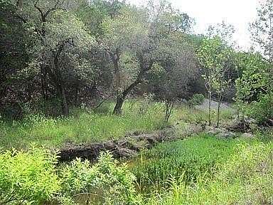 8.6 Acres of Land for Sale in Spicewood, Texas