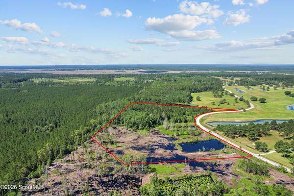 11.6 Acres of Land for Sale in Waverly, Georgia