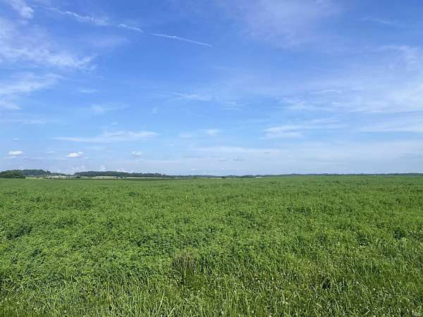 8.3 Acres of Agricultural Land for Sale in Elnora, Indiana