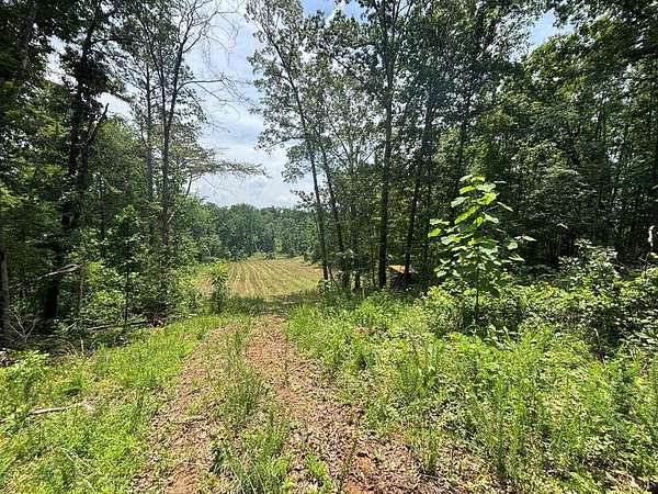 21.3 Acres of Recreational & Residential Land for Sale in Springville, Tennessee