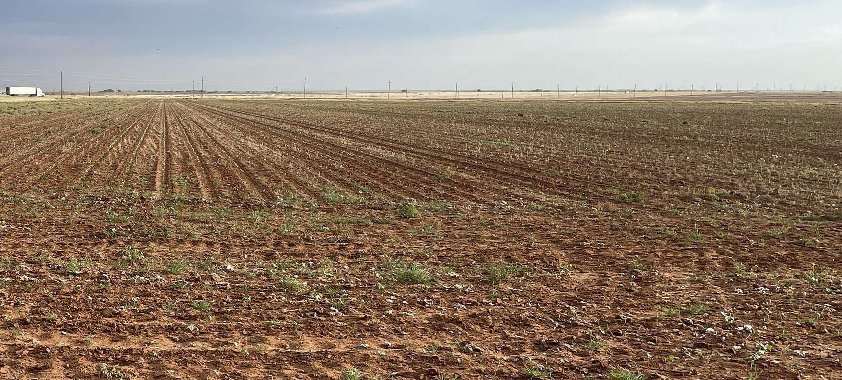 Land for Sale in Lamesa, Texas