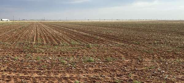 Land for Sale in Lamesa, Texas