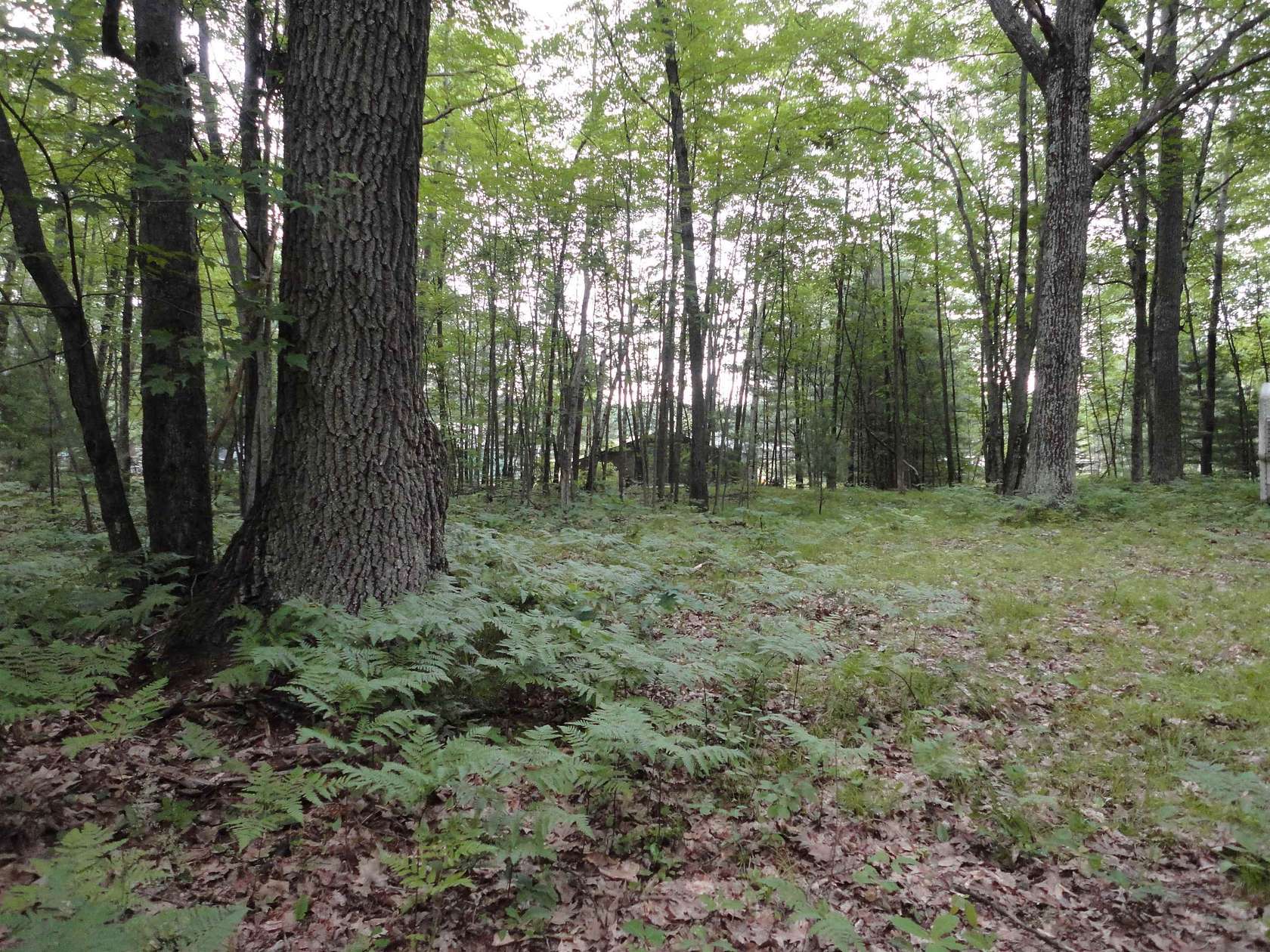 0.22 Acres of Residential Land for Sale in Lake, Michigan
