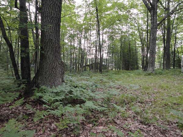 0.22 Acres of Residential Land for Sale in Lake, Michigan