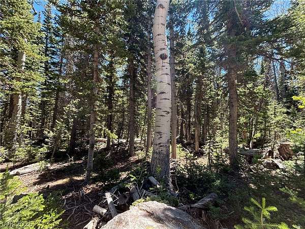 0.4 Acres of Residential Land for Sale in Brian Head, Utah