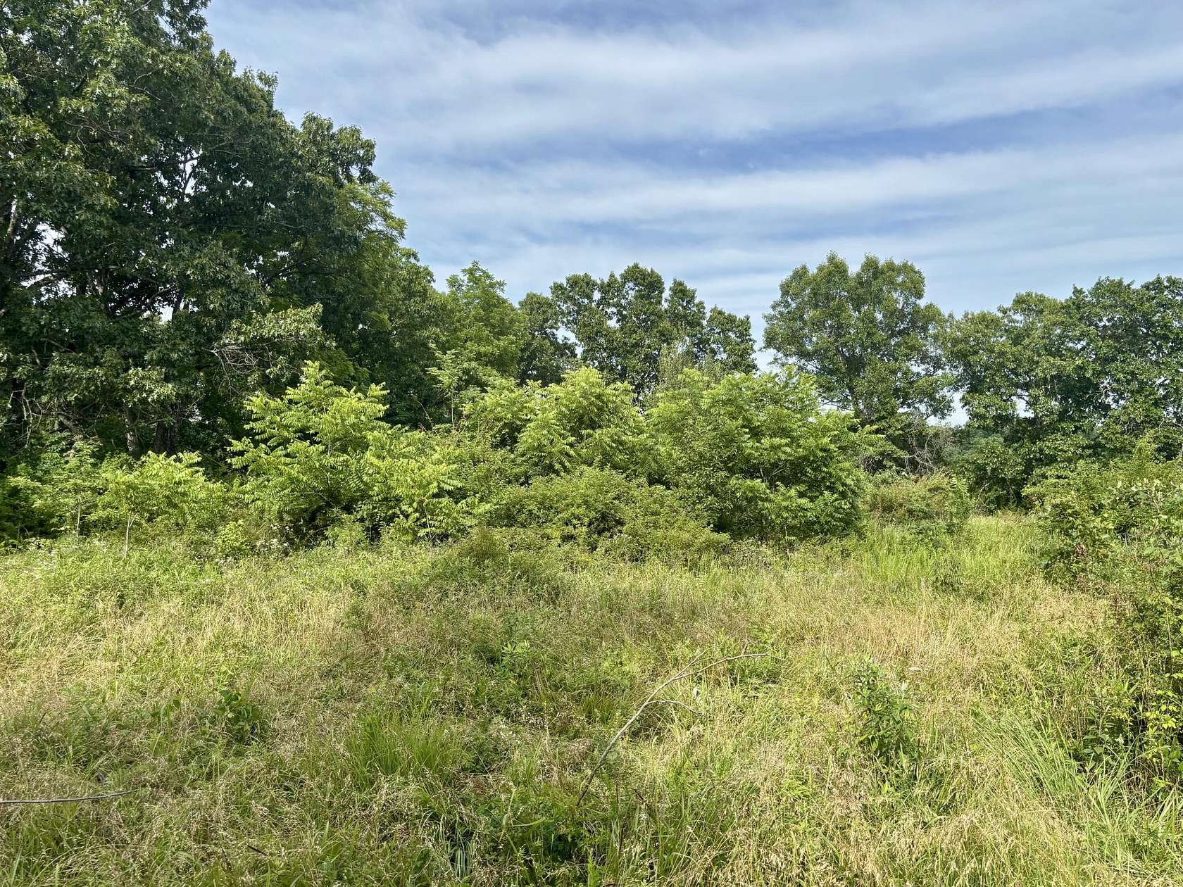 15 Acres of Recreational Land for Sale in Ava, Missouri