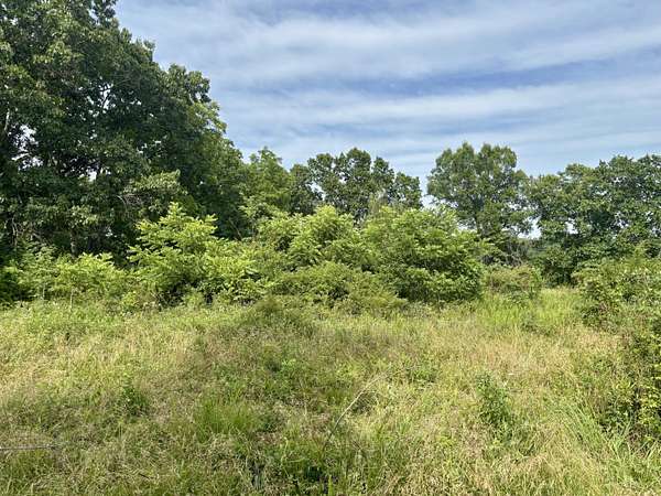 15 Acres of Recreational Land for Sale in Ava, Missouri