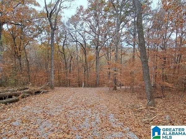 12.6 Acres of Recreational & Residential Land for Sale in Pinson, Alabama