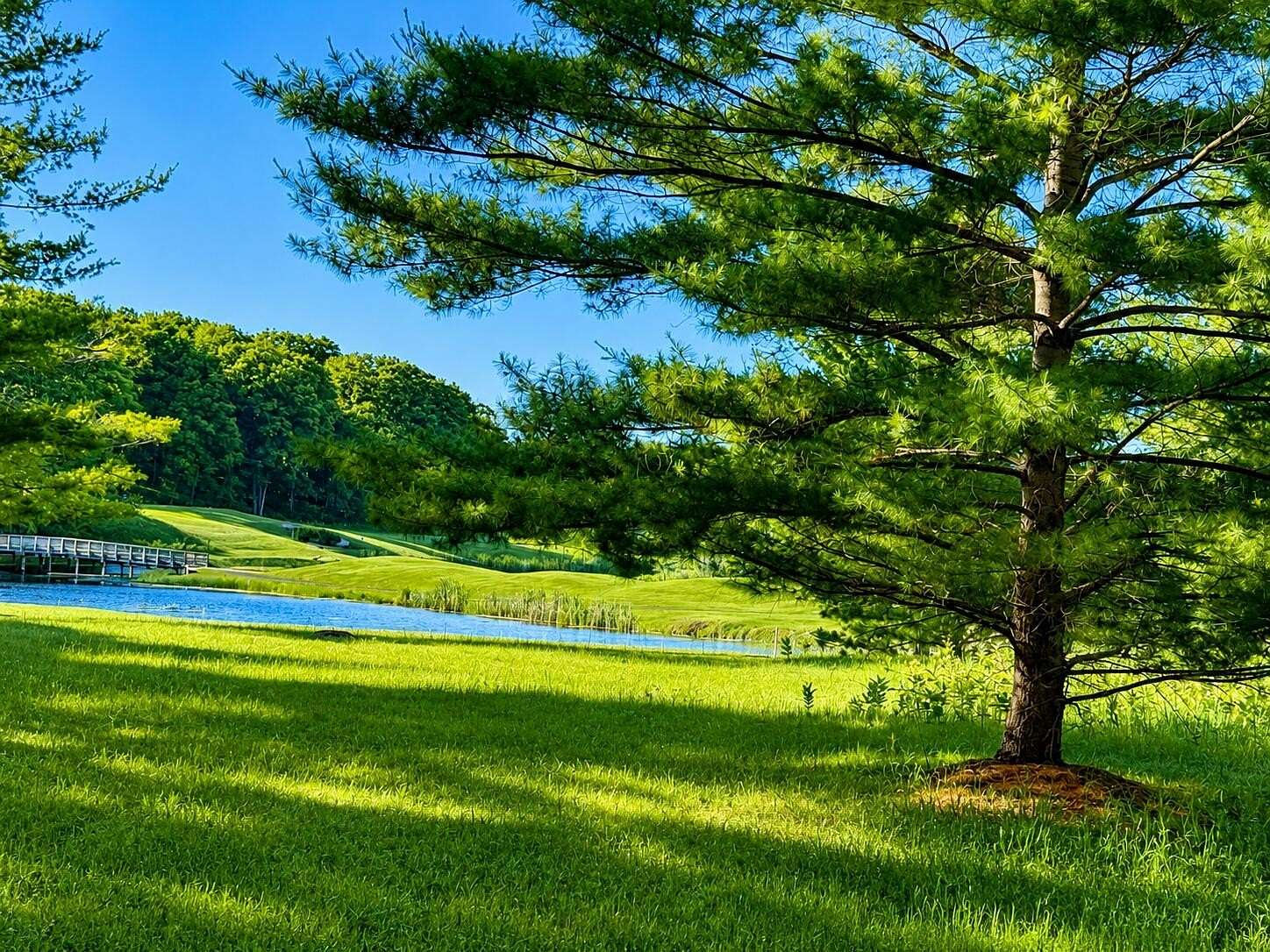 0.38 Acres of Residential Land for Sale in Canadian Lakes, Michigan
