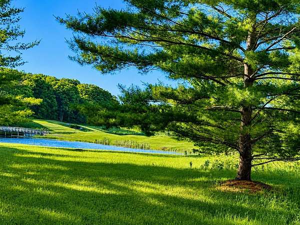 0.38 Acres of Residential Land for Sale in Canadian Lakes, Michigan