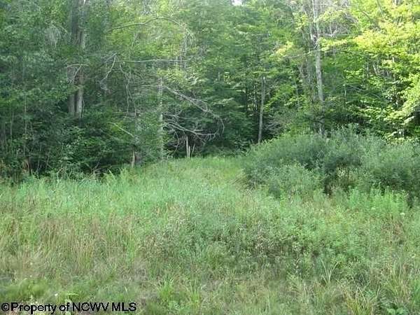 1 Acre of Residential Land for Sale in Davis, West Virginia