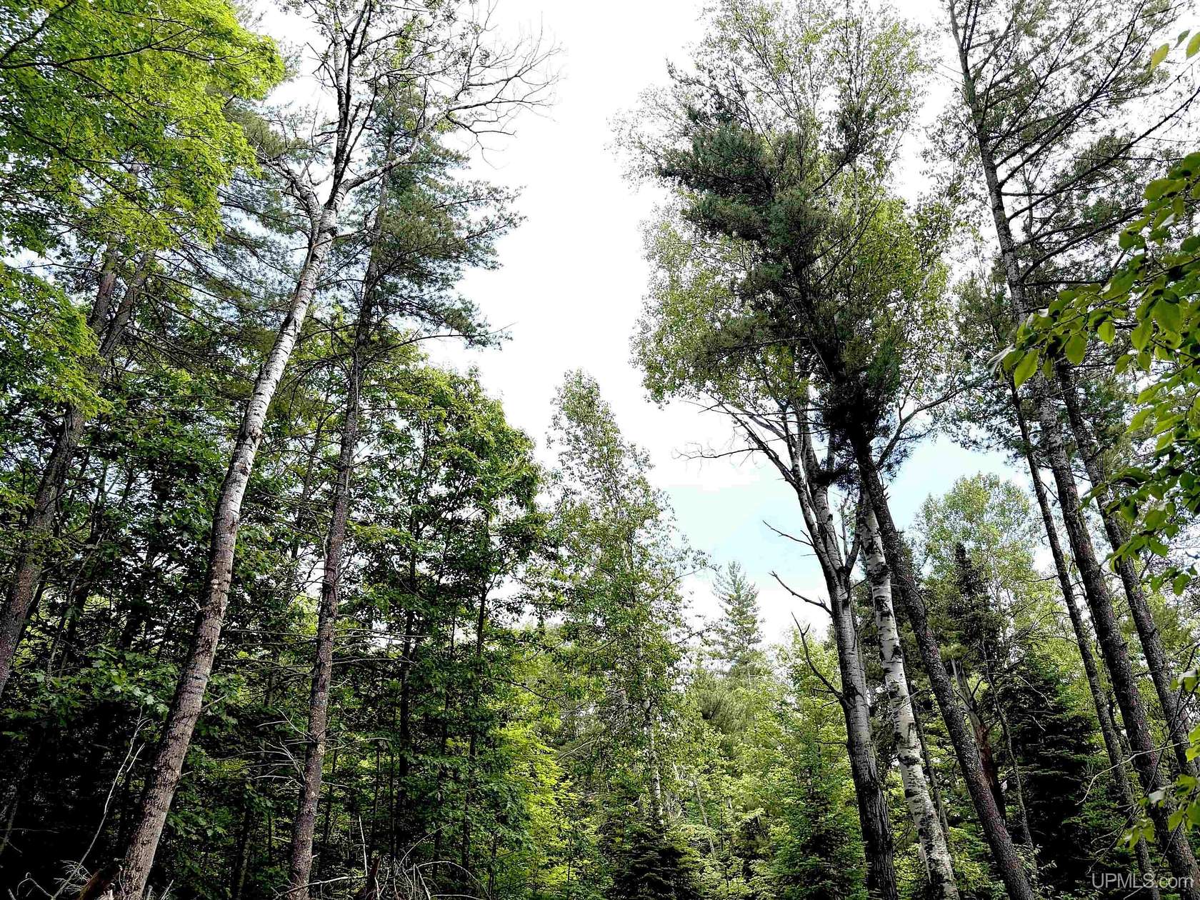 1.53 Acres of Residential Land for Sale in Ishpeming, Michigan