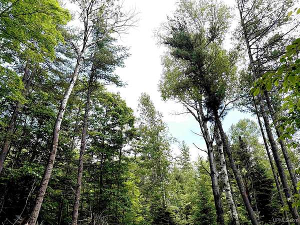 1.53 Acres of Residential Land for Sale in Ishpeming, Michigan