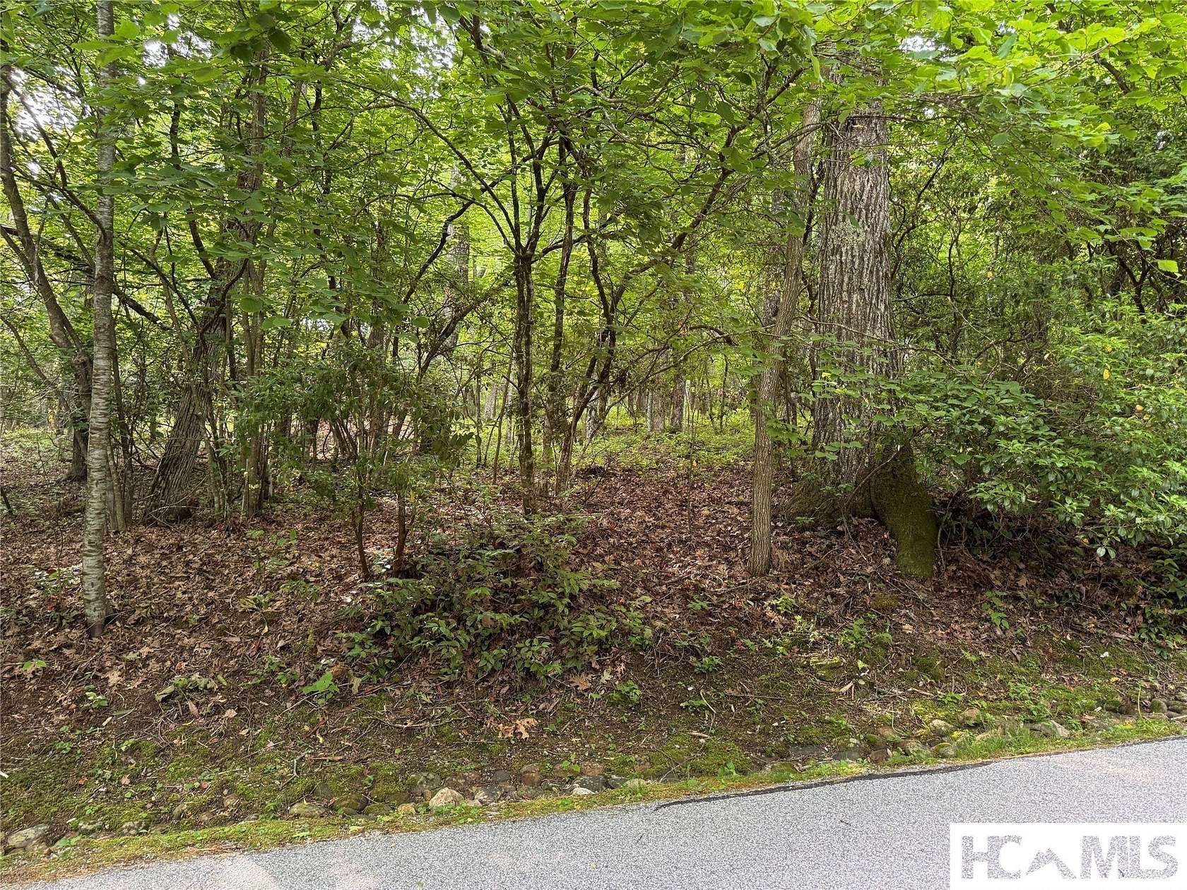 0.77 Acres of Residential Land for Sale in Highlands, North Carolina