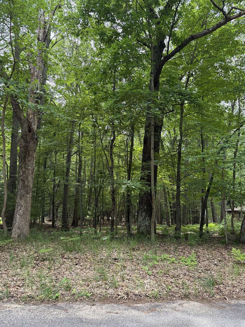 0.6 Acres of Land for Sale in Pentwater, Michigan