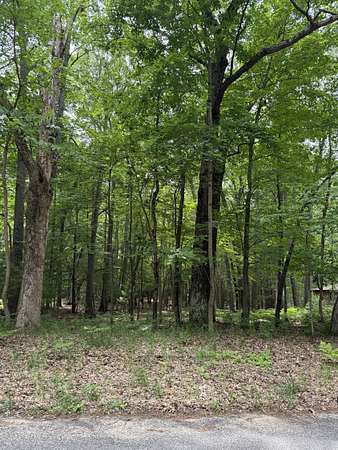 0.6 Acres of Land for Sale in Pentwater, Michigan